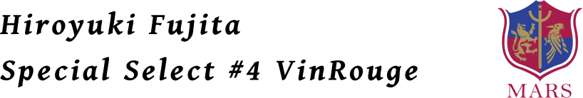 Hiroyuki Fujita Especially Select #4 Vin Rouge